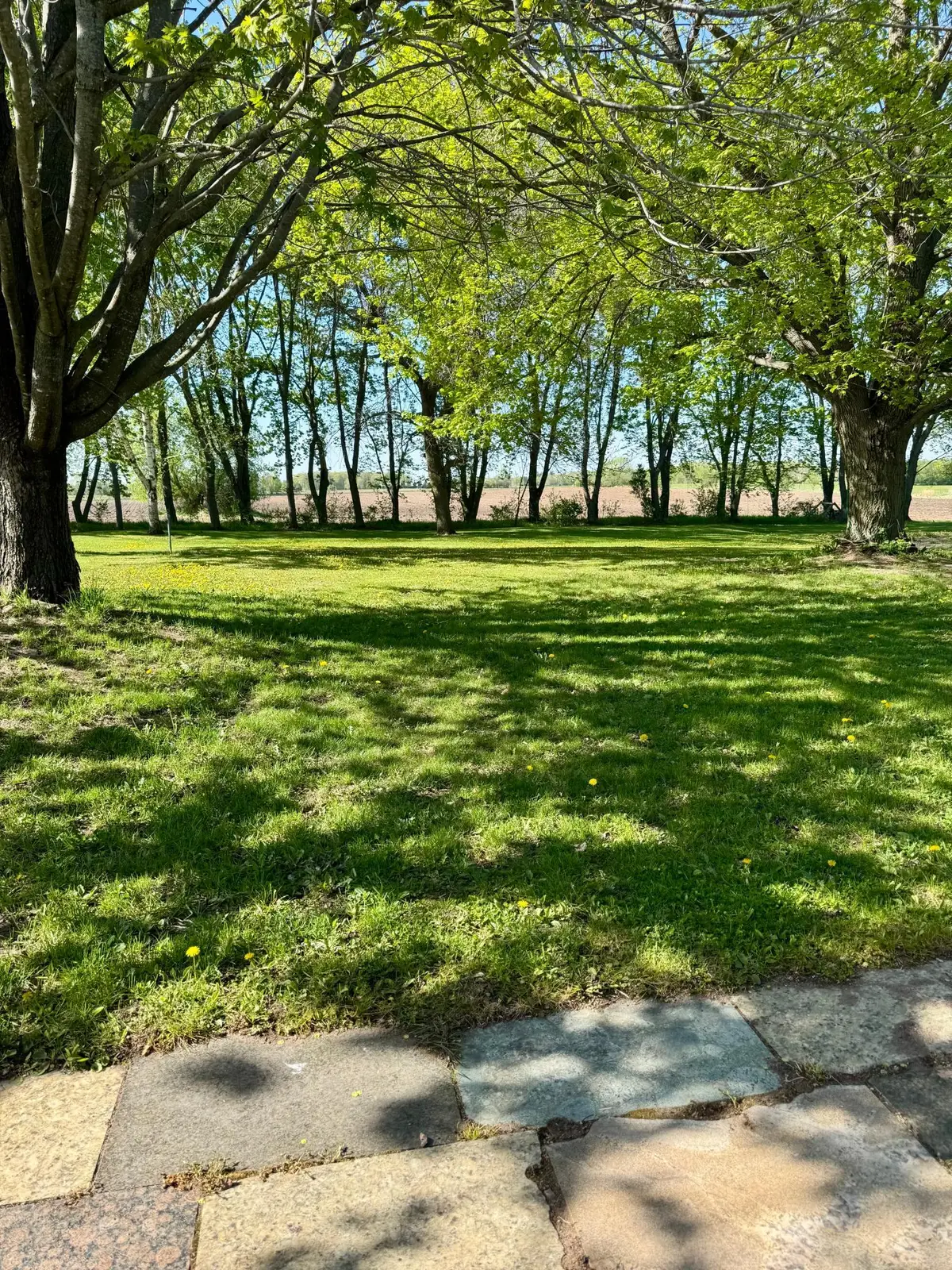 17370 65th Street Ne, Oak Park, MN 56357 - #1
