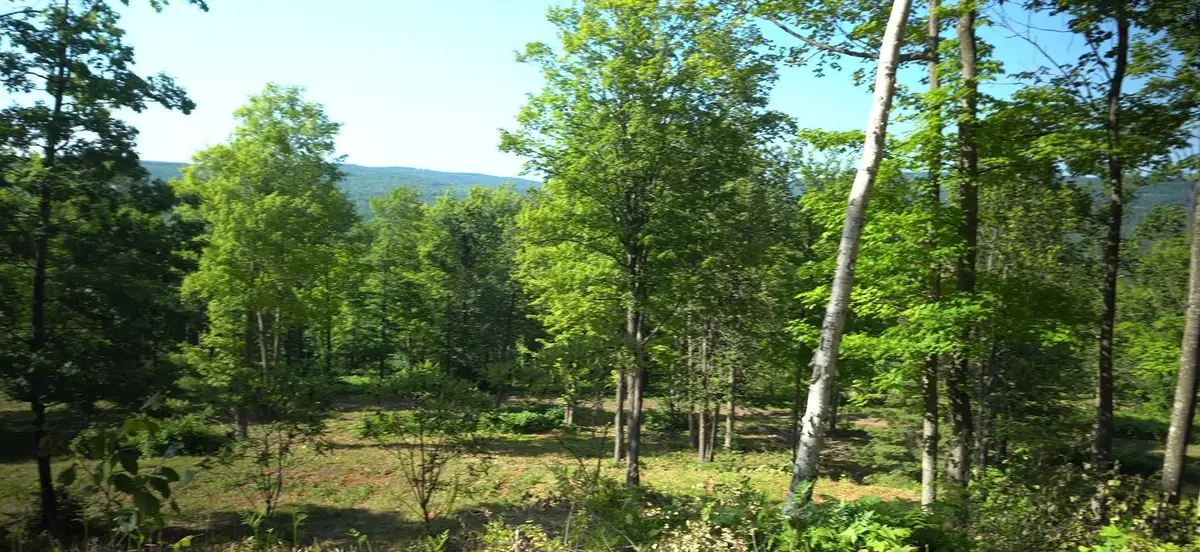 83xxx - Lot 12 Ashwabay Road, Bayfield, WI 54814 - #1