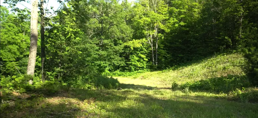 83xxx - Lot 11 Ashwabay Road, Bayfield, WI 54814 - #3