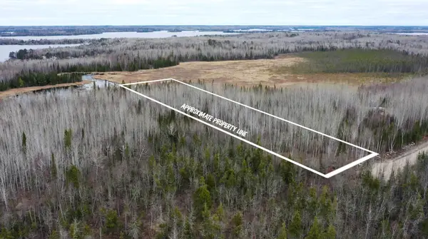 TBD Parcel 14 Hwy 115, Tower, MN 55790