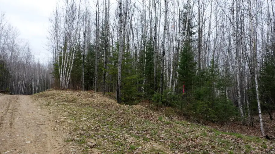 TBD Parcel 20 Hwy 115, Tower, MN 55790 - #2