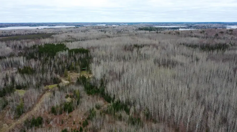 TBD Parcel 20 Hwy 115, Tower, MN 55790 - #3