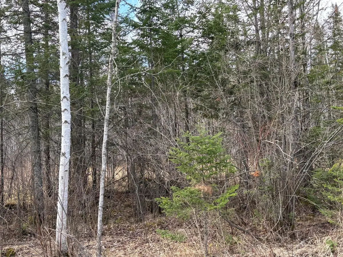 5358 E Four Corners Road, Cromwell, MN 55726 - #1