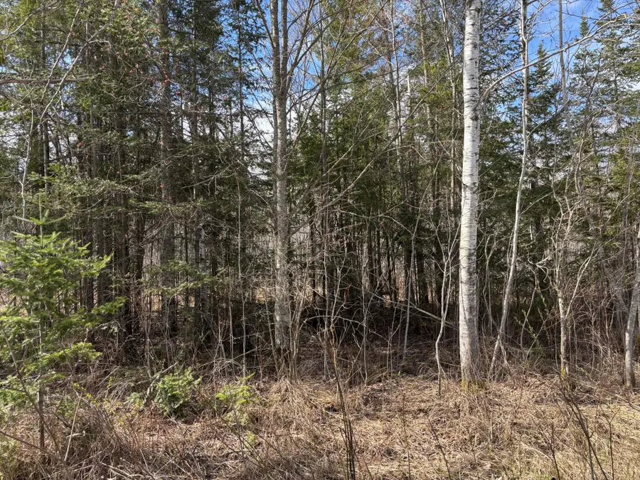 5358 E Four Corners Road, Cromwell, MN 55726 - #2