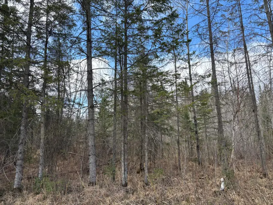 5358 E Four Corners Road, Cromwell, MN 55726 - #3