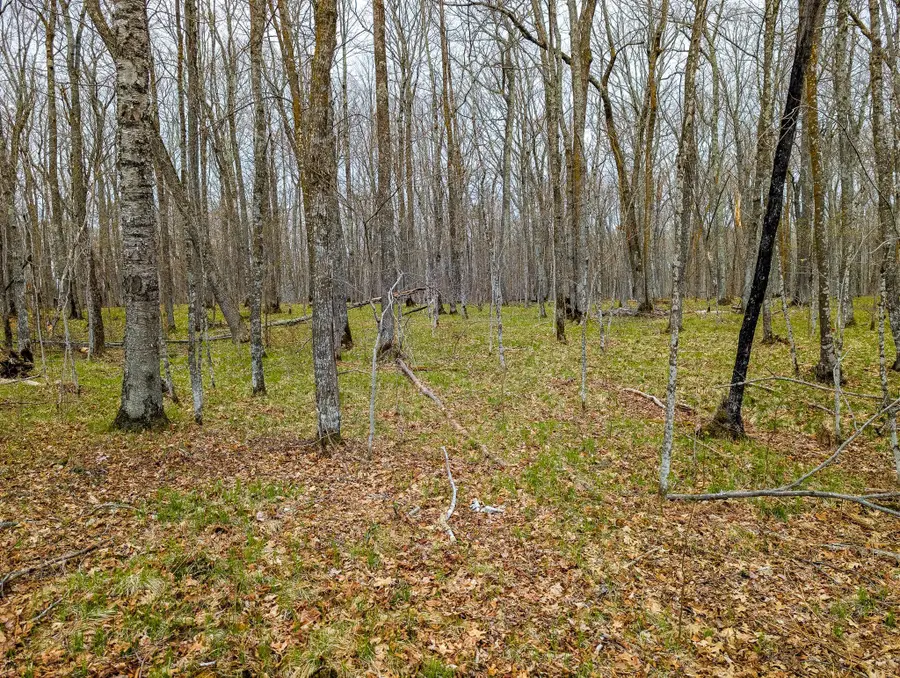 TBD 235th Place, McGregor, MN 55760 - #2