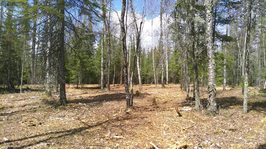 TBD Parcel G Frazer Bay Road, Cook, MN 55723 - #3