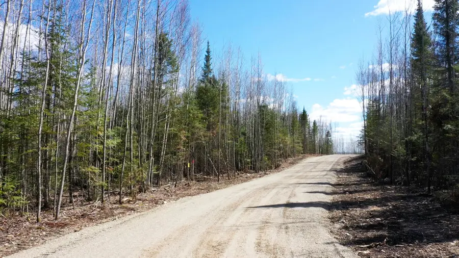 TBD Parcel U Frazer Bay Road, Cook, MN 55723 - #3