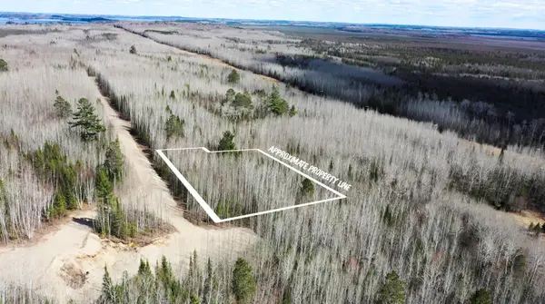 TBD Parcel Y Frazer Bay Road, Cook, MN 55723