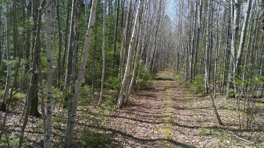 TBD Parcel Y Frazer Bay Road, Cook, MN 55723 - #2