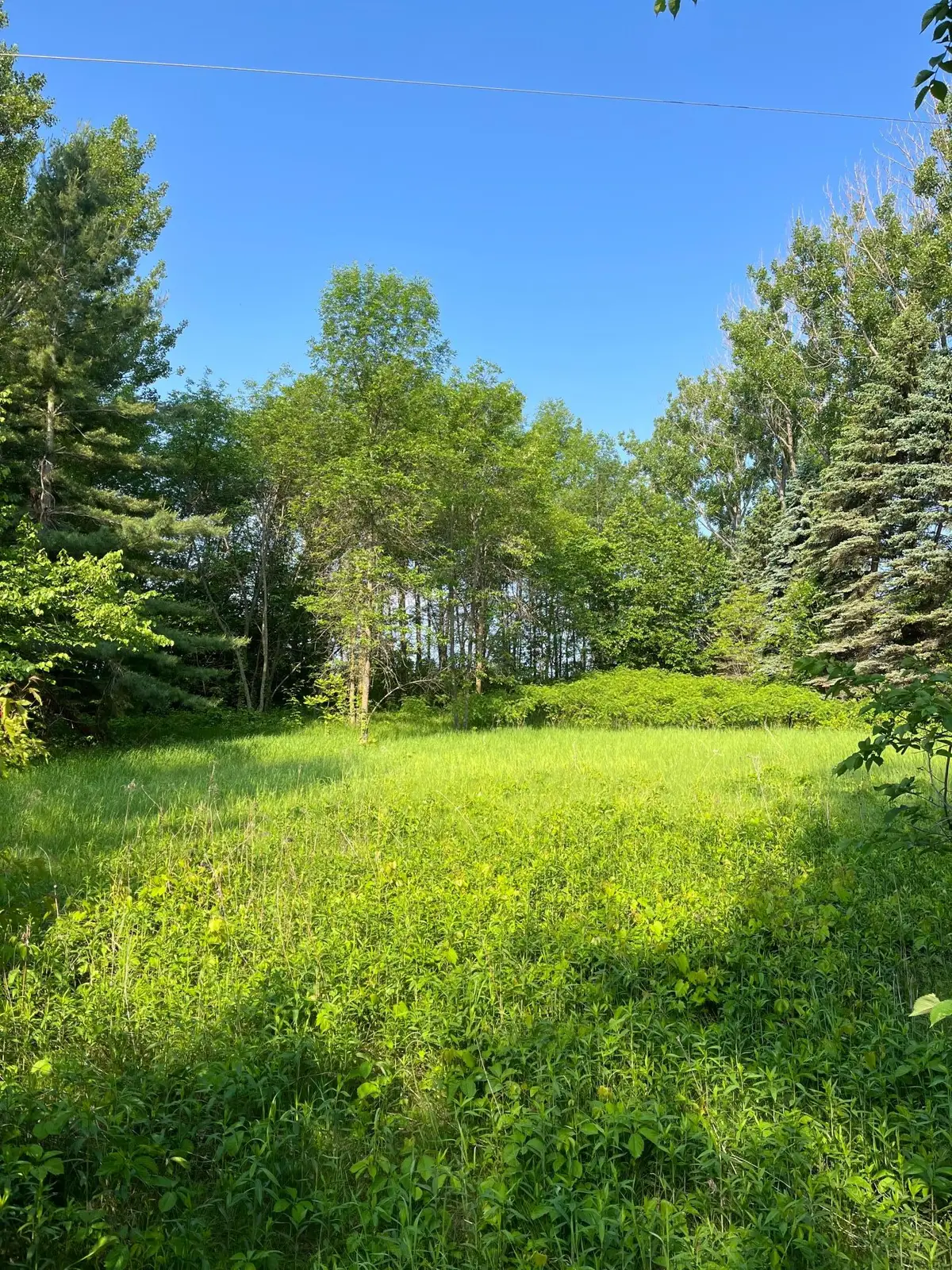 TBD Wild Rose Trail, Frazee, MN 56544 - #1