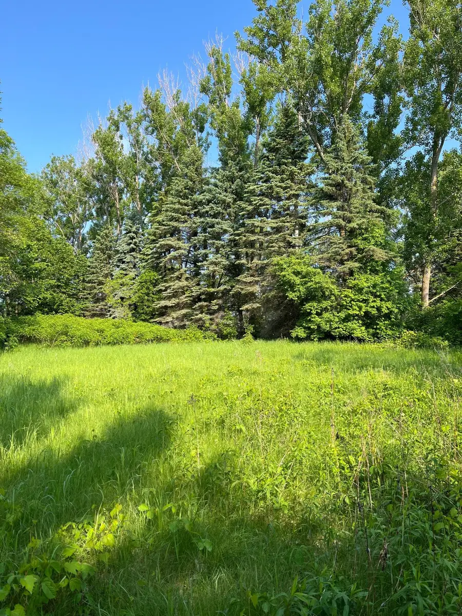 TBD Wild Rose Trail, Frazee, MN 56544 - #3