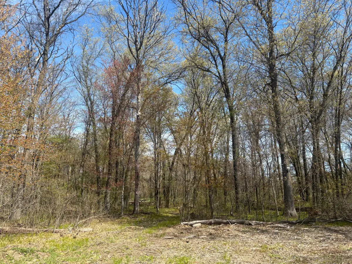TBD 151st Street Nw, Princeton, MN 55371 - #1