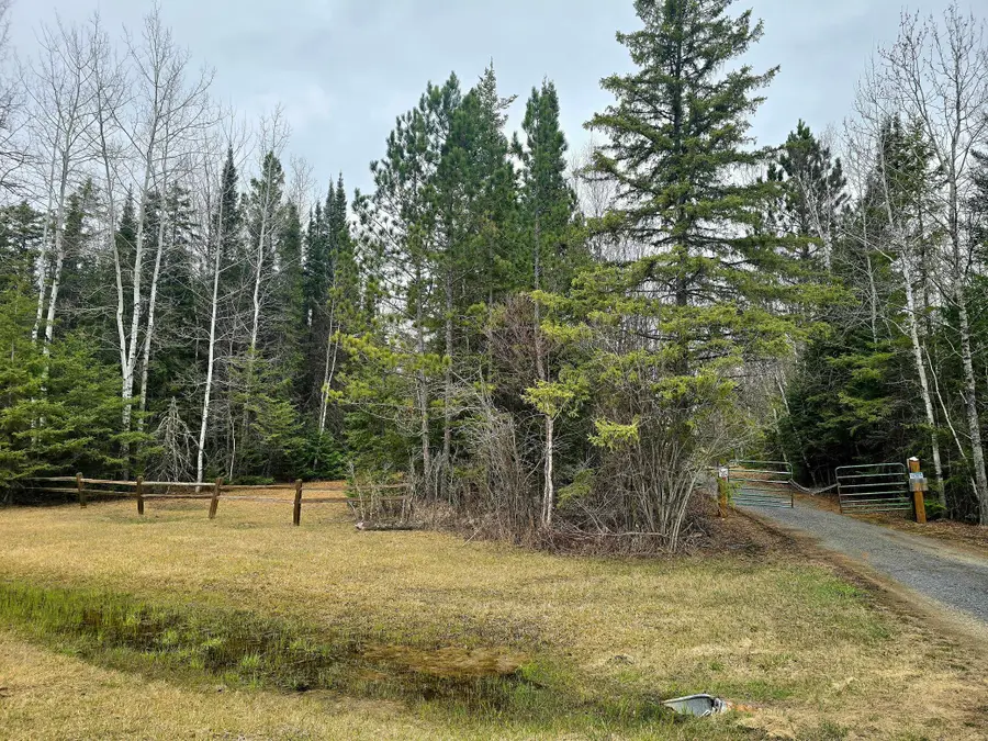 9464 Highway 53, Kabetogama, MN 56669 - #2