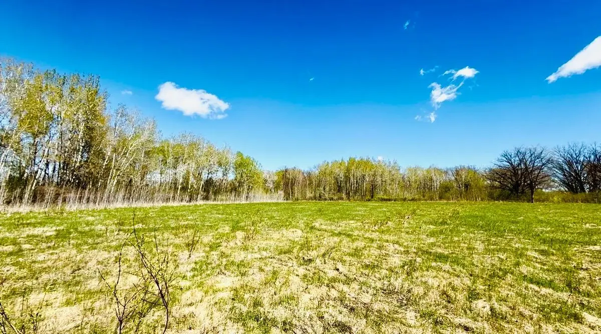 TBD Ivy Rd., Borgholm, MN 56353 - #1