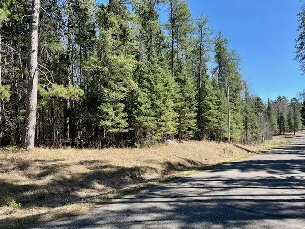 TBD New Melahn Drive, Lake George, MN 56458