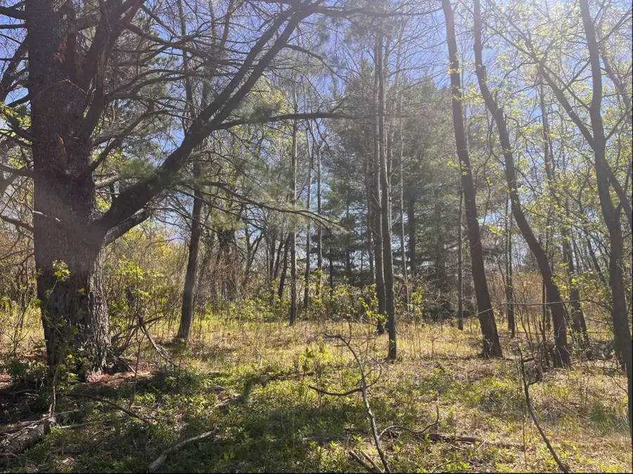 23xx River Road, Saint Croix Falls, WI 54024 - #2