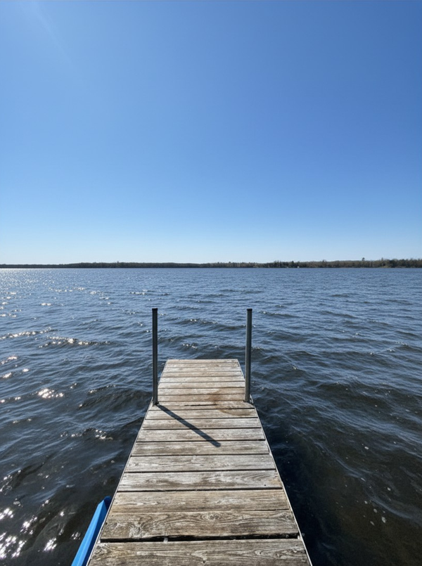 8219 Lone Wolf Drive Ne, Pennington, MN 56663