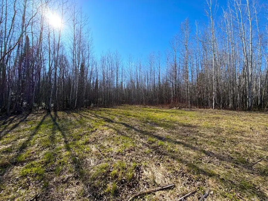Lot A County Road 79, Littlefork, MN 56653 - #3
