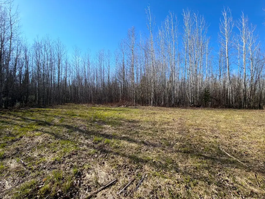 Lot B County Road 79, Littlefork, MN 56653 - #2