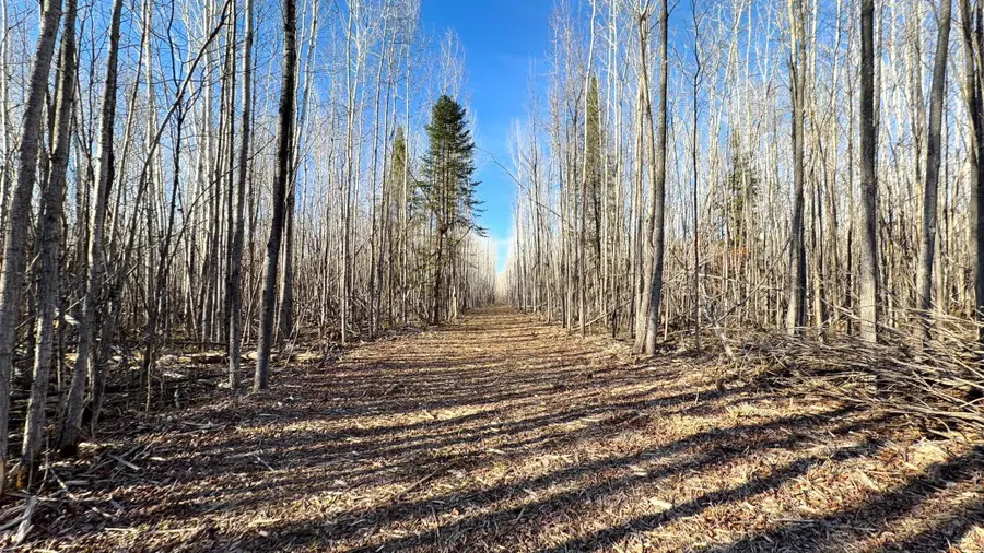 Lot D County Road 79, Littlefork, MN 56653 - #2