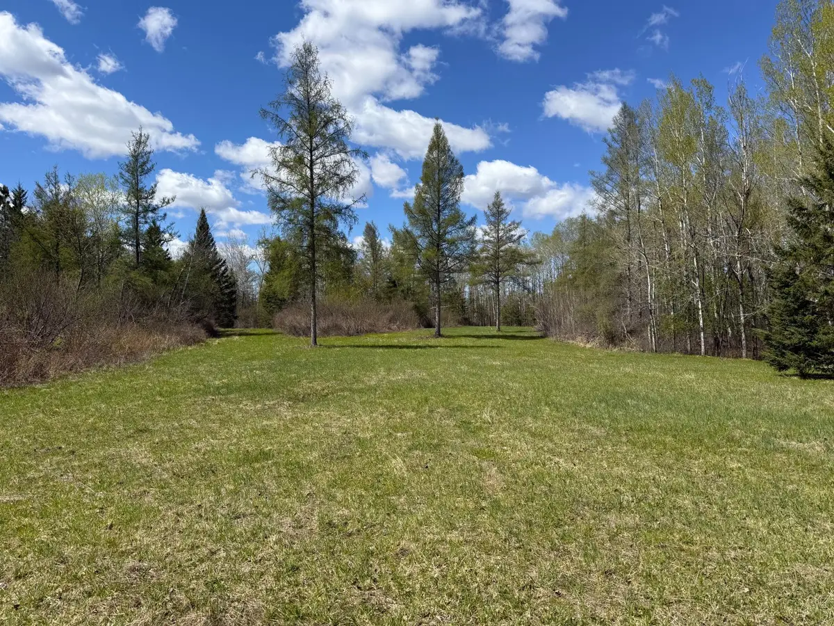 89225 Little Oak Lake Road, Kerrick, MN 55756 - #1