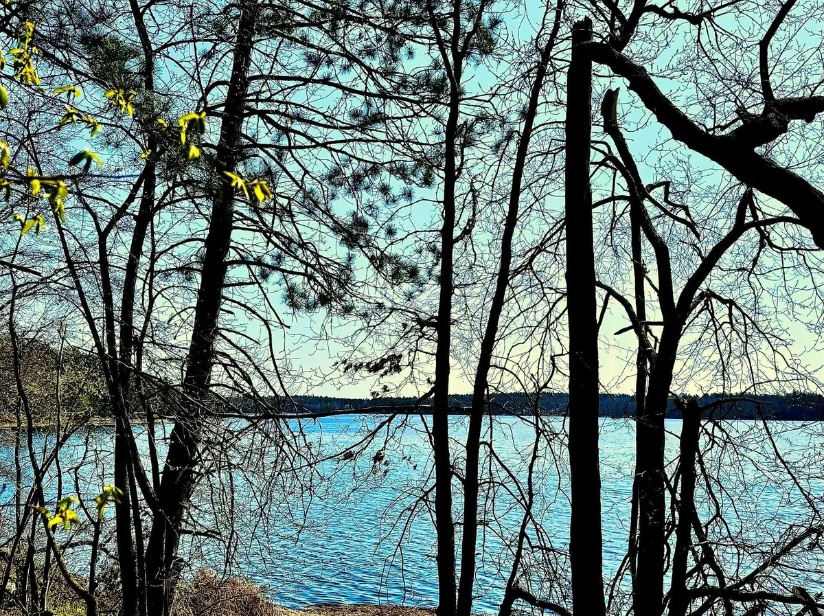 TBD Rognaldson Road, Brainerd, MN 56401 - #1