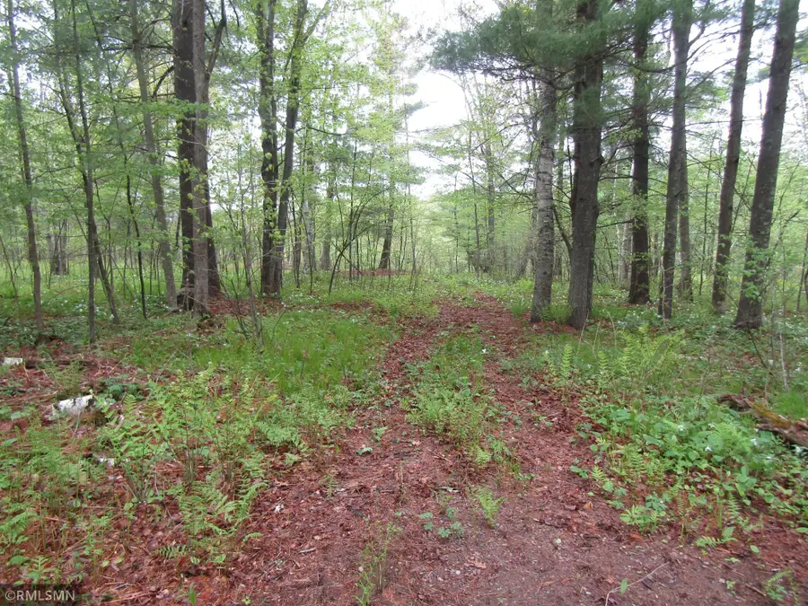 15442 Lofty Pines Road, Pine City, MN 55063 - #3
