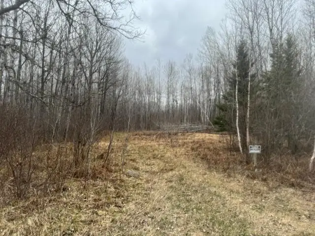 XXX Frazer Road, Oteneagen, MN 56631 - #1