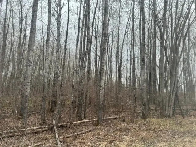 XXX Frazer Road, Oteneagen, MN 56631 - #2