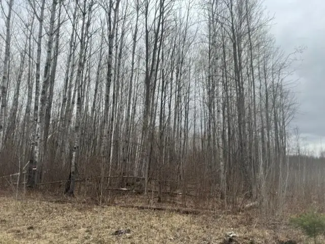 XXX Frazer Road, Oteneagen, MN 56631 - #3