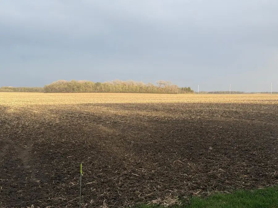 3544 250th Street, Dawson, MN 56232 - #3
