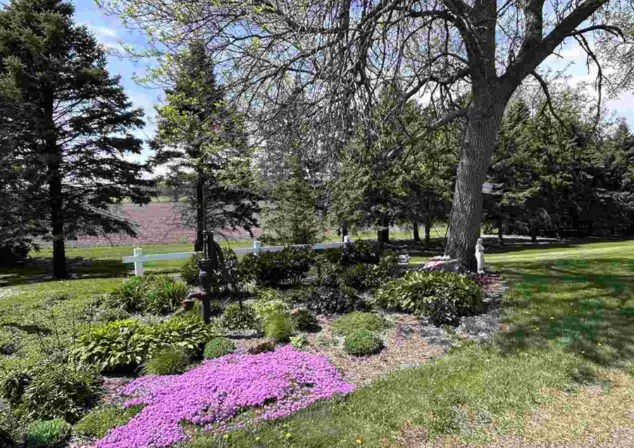 84777 State Highway 60, Madelia, MN 56062 - #2