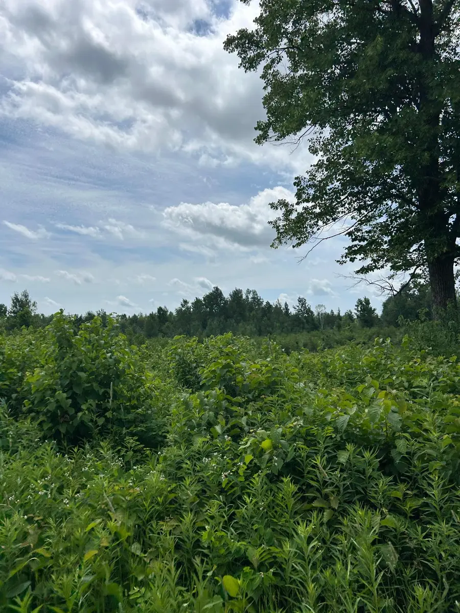 TBD1 Duncan Road, Sandstone, MN 55072 - #3