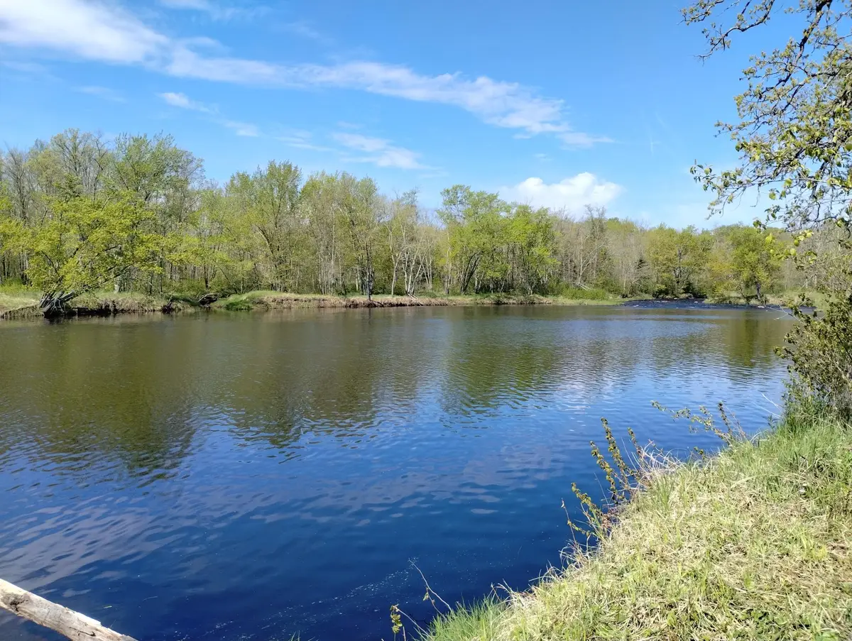 2263 280th Avenue, Brook Park, MN 55007 - #1