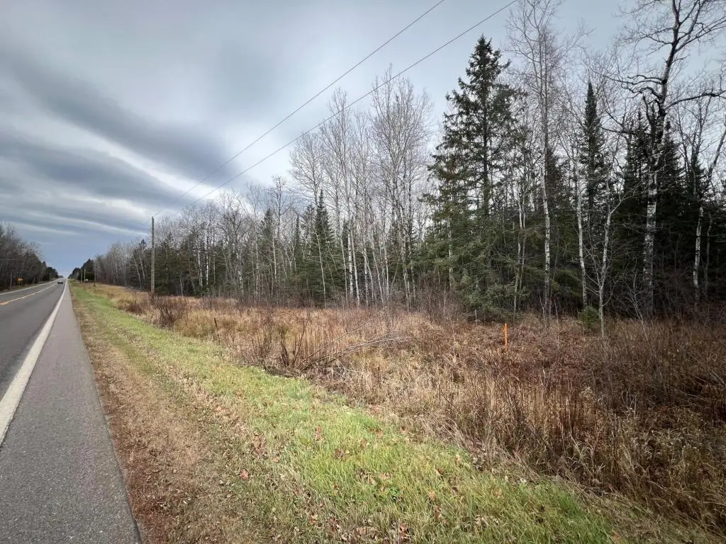 TBD Townline Rd, Hibbing, MN 55746 - #1