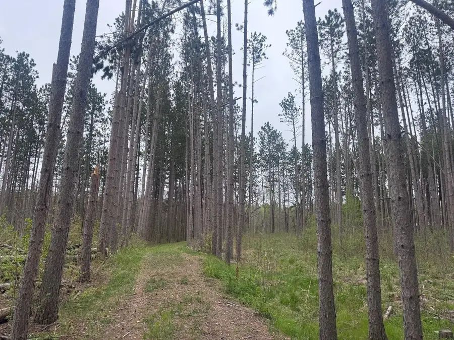 18831 124th Lane, Williams, MN 56350 - #3