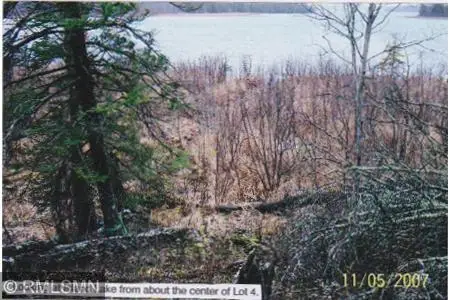 5xxxx Moose Bay Trail, Northome, MN 56661 - #1