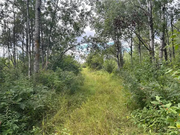 TBD2 Duncan Road, Sandstone, MN 55072