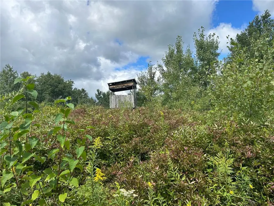 TBD2 Duncan Road, Sandstone, MN 55072 - #3