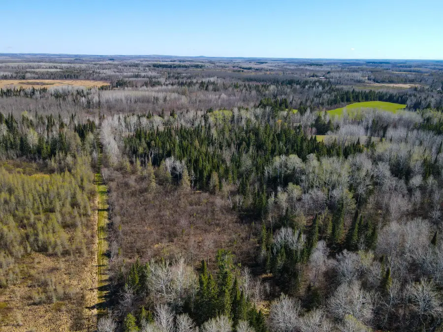 Parcel B Township Road D, Wawina, MN 55736 - #2