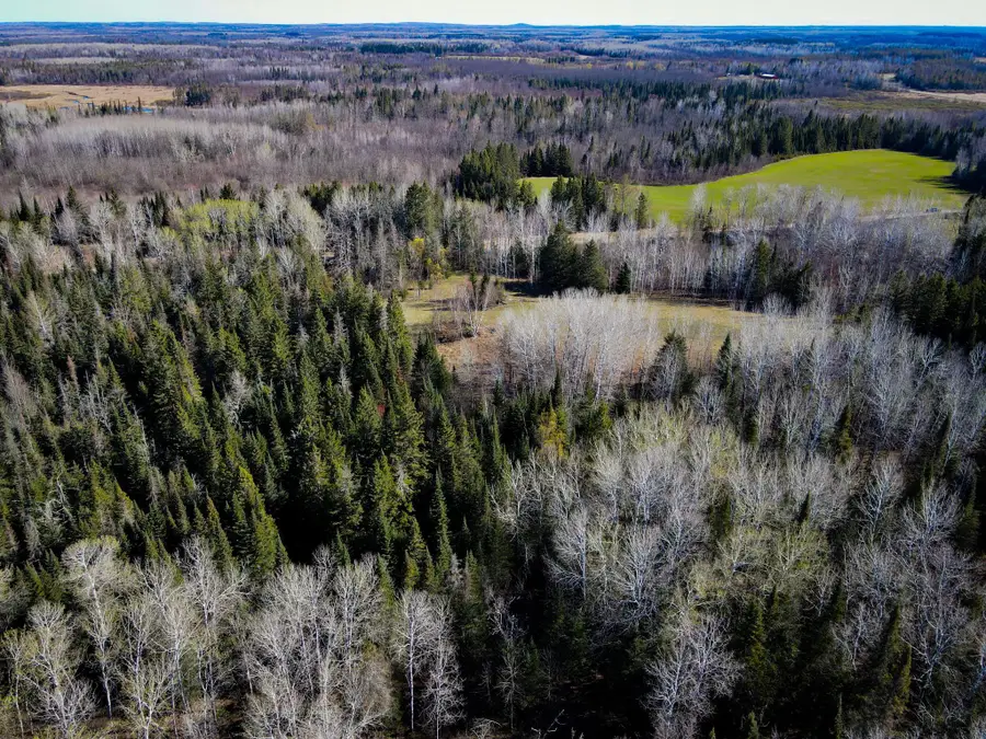 12905 Township Road D, Wawina, MN 55736 - #2