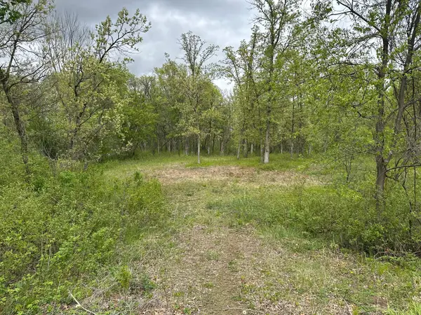 TBD 301st Avenue Nw, Princeton, MN 55371