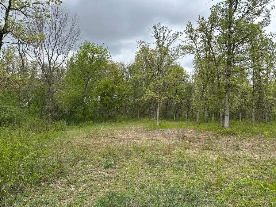 TBD 301st Avenue Nw, Princeton, MN 55371 - #2