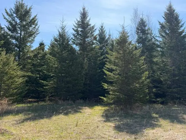 TBD 66th Avenue Ne, Remer, MN 56672 - #1
