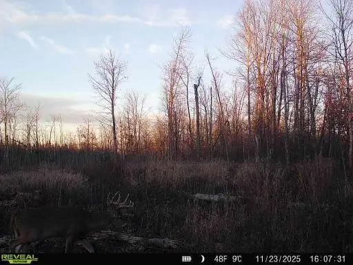 xxx Fleming Logging Road, Hinckley, MN 55037 - #1