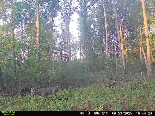 xxx Fleming Logging Road, Hinckley, MN 55037 - #3