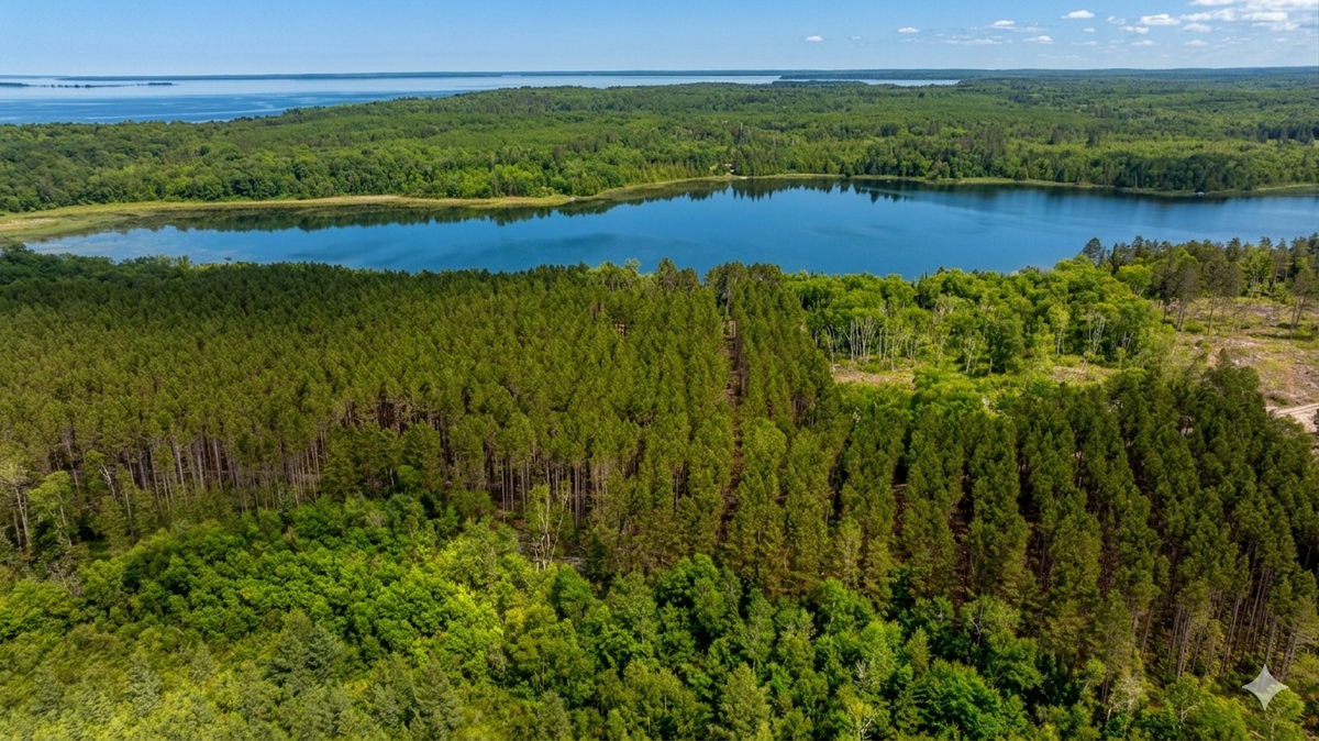 tbd Fs2666, Walker, MN 56484 - #1