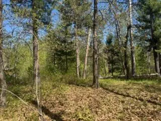 8293 Interlachen Road, Lake Shore, MN 56468 - #3