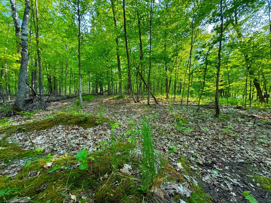0 182nd Ave, McGregor, MN 55760 - #3